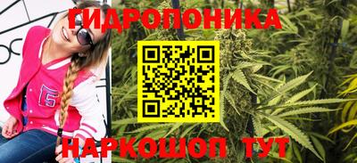 шишки Старая Купавна